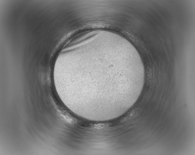 X0000059230064200511111559