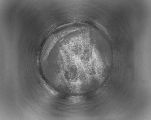 X0000059230065200511111559