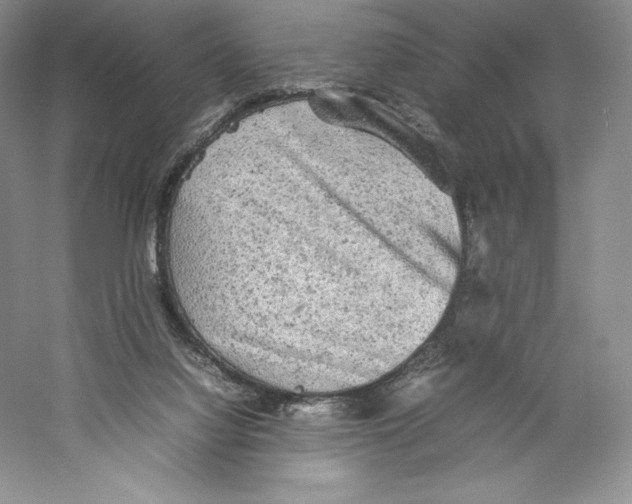 X0000059230068200511111559