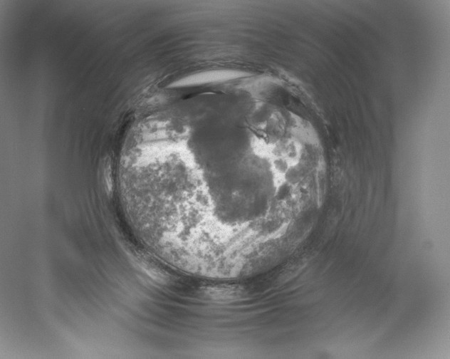 X0000059230069200511111559