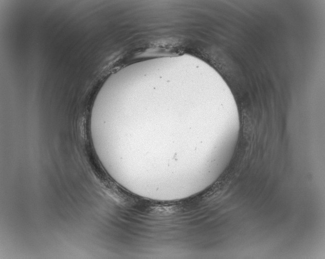 X0000059230071200511111559