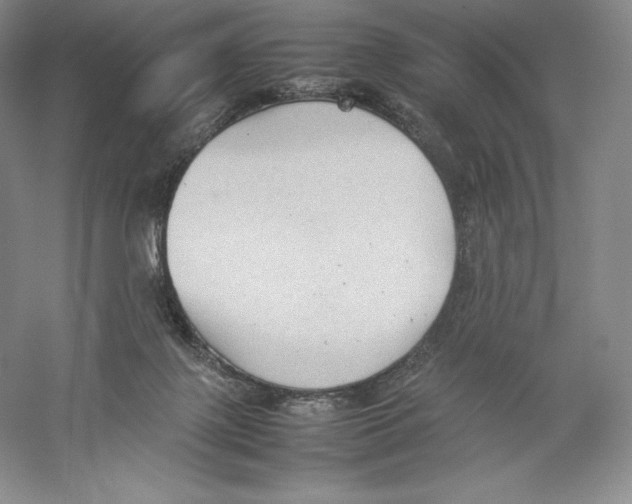 X0000059230075200511111600