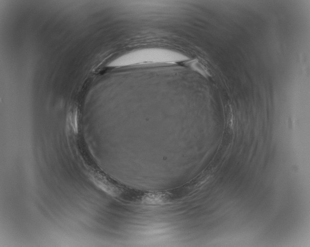 X0000059230076200511111600