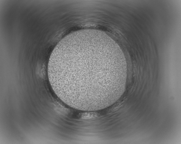 X0000059230077200511111600