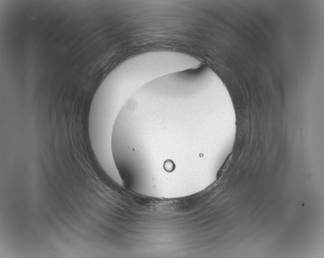 X0000059230078200511111600