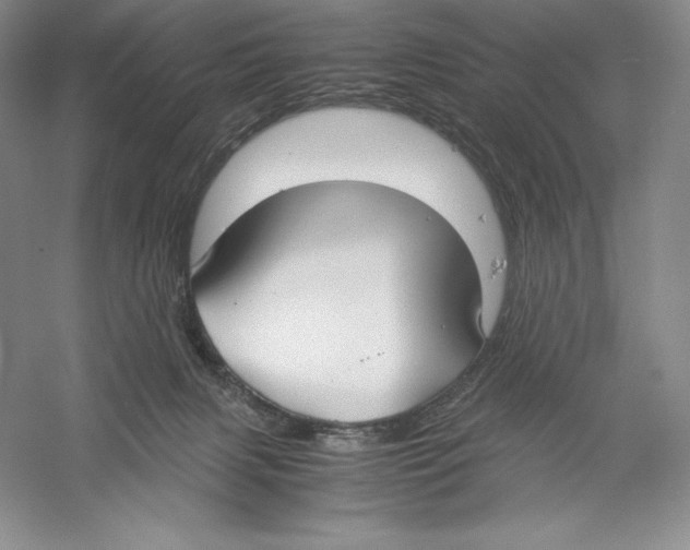 X0000059230079200511111600