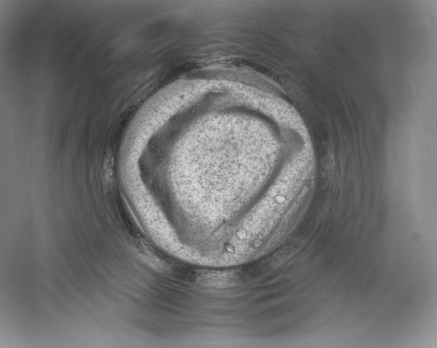 X0000059230081200511111600