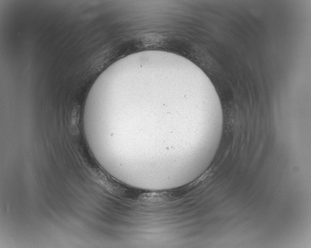 X0000059230082200511111600