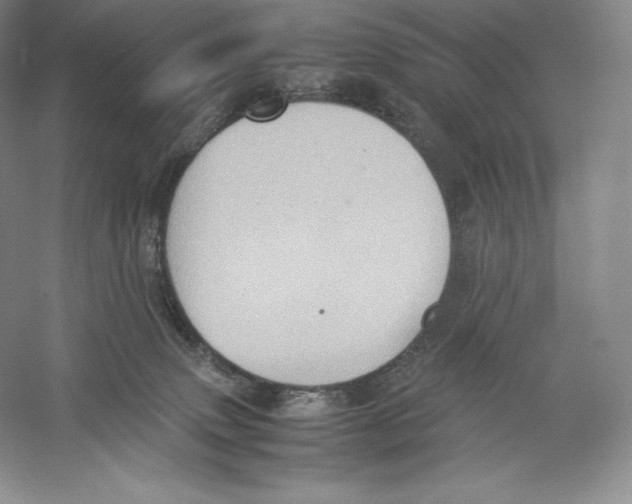 X0000059230083200511111600