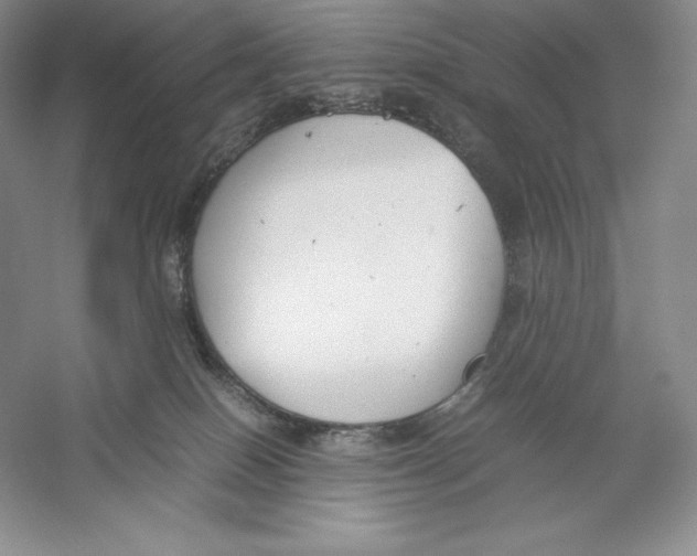 X0000059230086200511111600