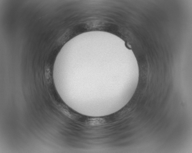 X0000059230087200511111600