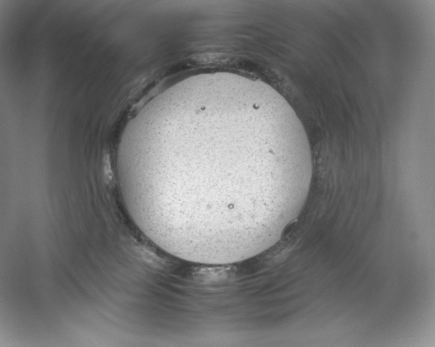 X0000059230089200511111600