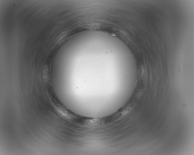 X0000059230092200511111600