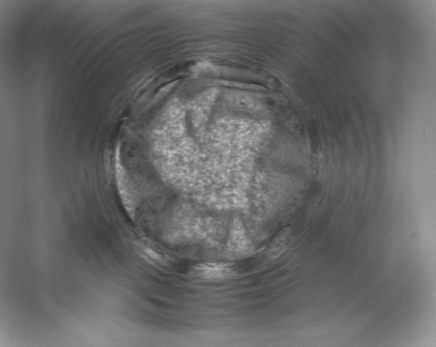 X0000059230093200511111600