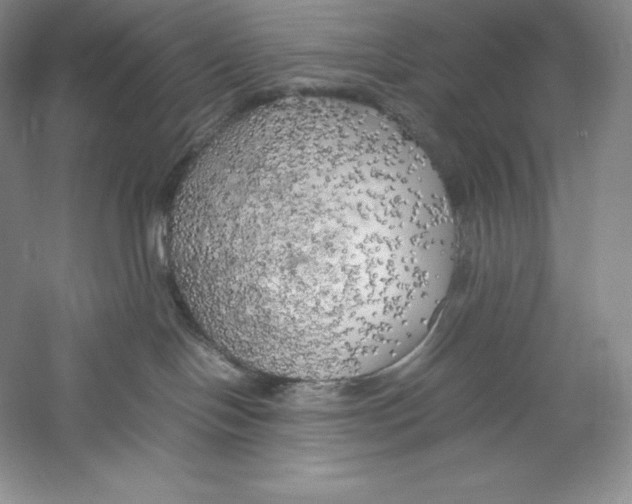 X0000059230094200511111600