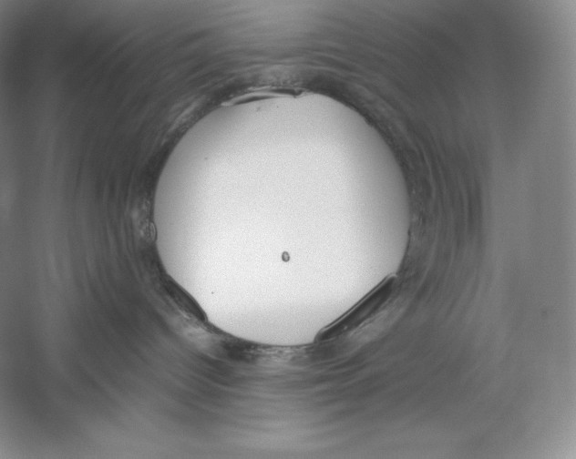 X0000059230096200511111600