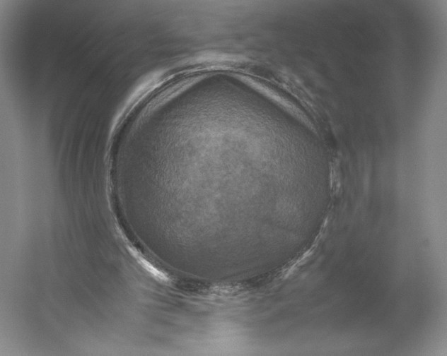 X0000059230101200511111559