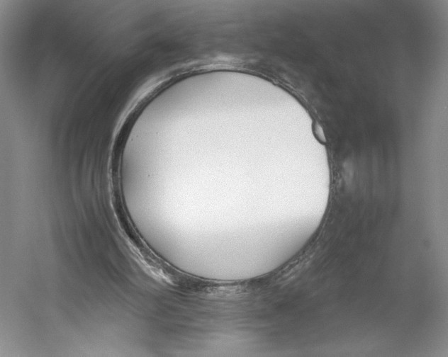 X0000059230102200511111559