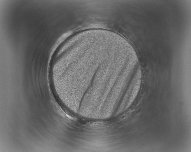 X0000059230104200511111559