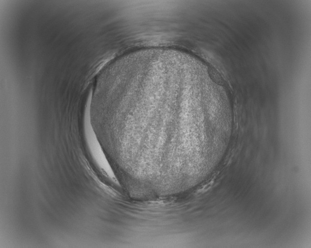 X0000059230105200511111559