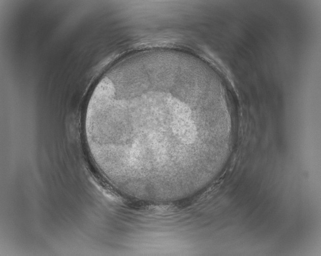 X0000059230107200511111559