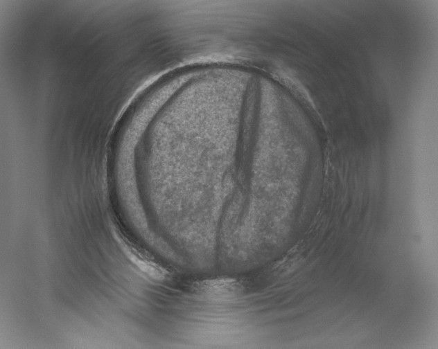 X0000059230108200511111559