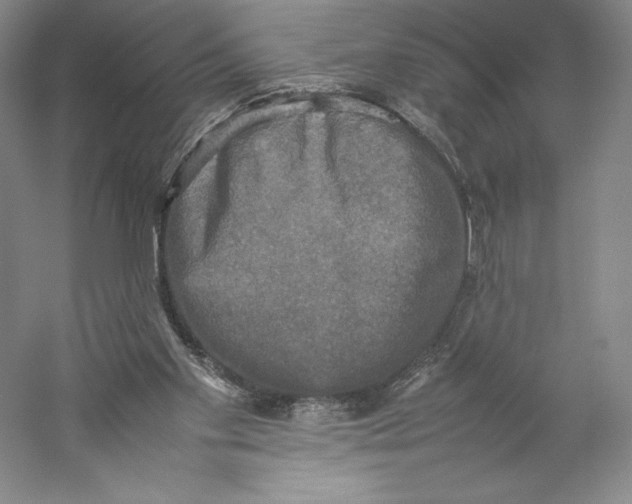 X0000059230109200511111559