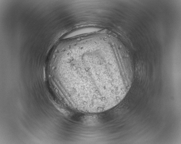 X0000059230110200511111559