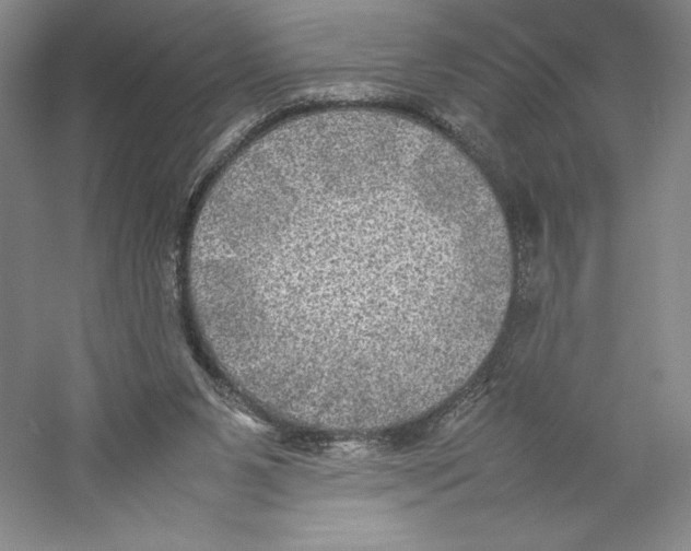 X0000059230111200511111559