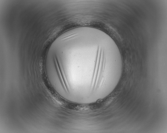 X0000059230113200511111559