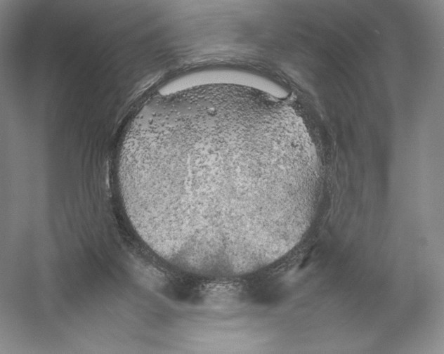 X0000059230115200511111559