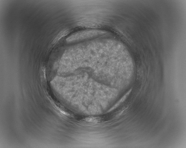 X0000059230117200511111559