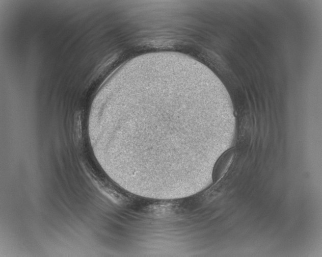 X0000059230120200511111559