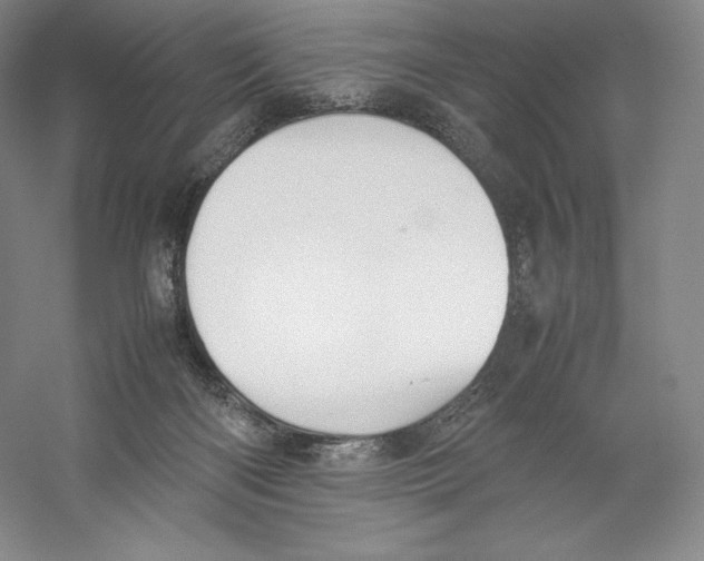 X0000059230122200511111559