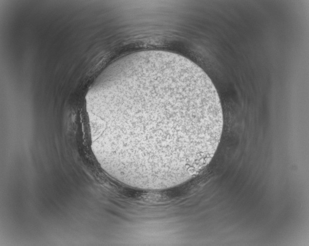 X0000059230123200511111559