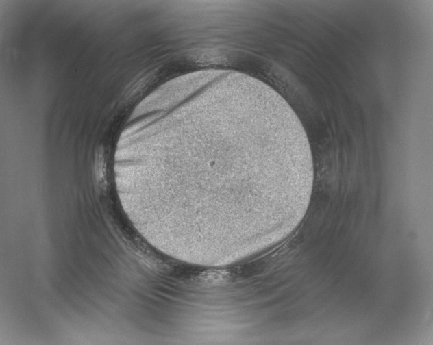 X0000059230124200511111559