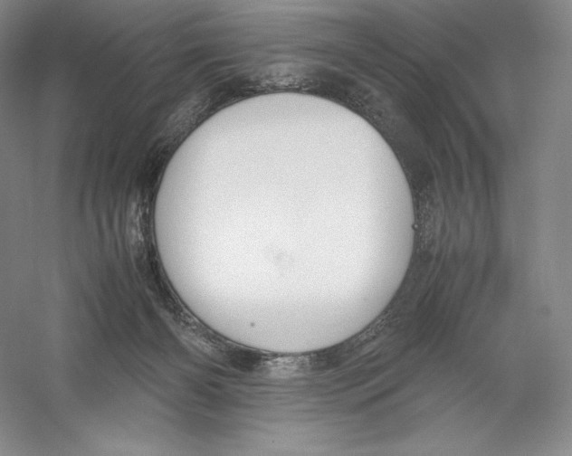 X0000059230126200511111559