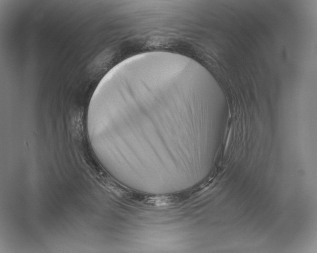 X0000059230127200511111559