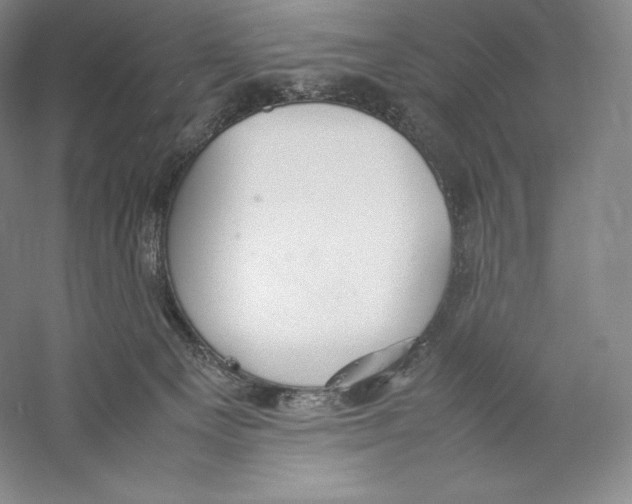 X0000059230129200511111559