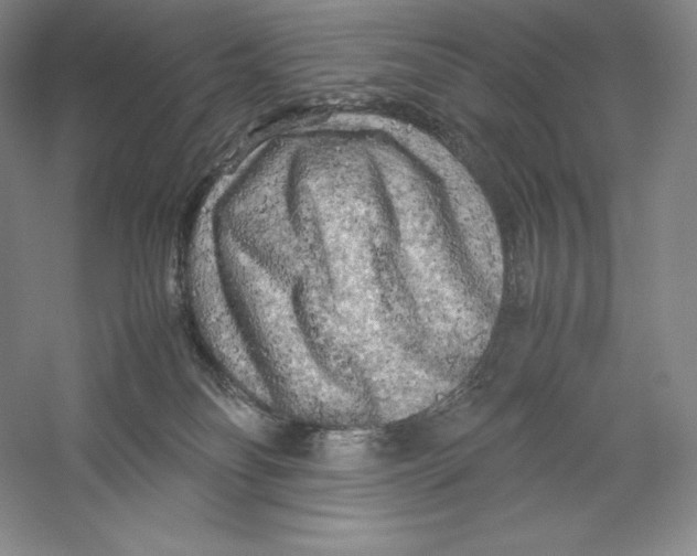 X0000059230134200511111558