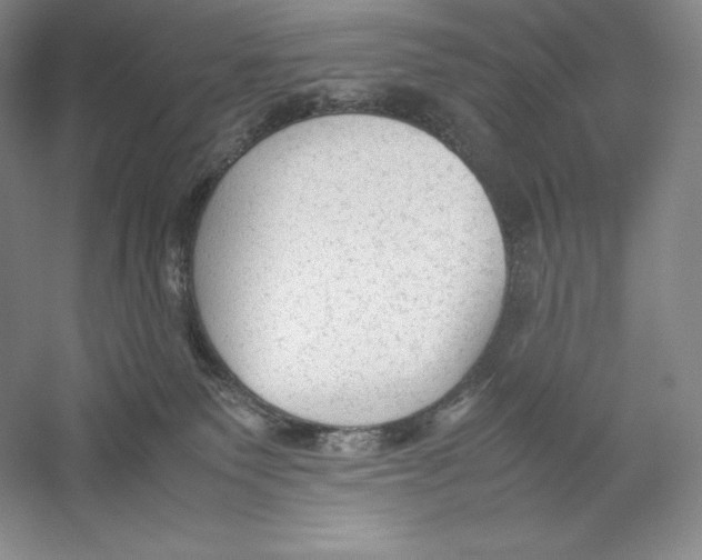 X0000059230135200511111558