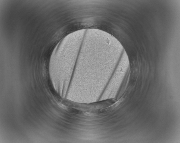 X0000059230136200511111558