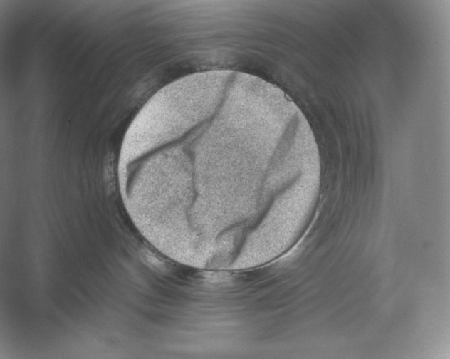 X0000059230144200511111558