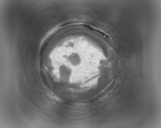 X0000059230149200511111558