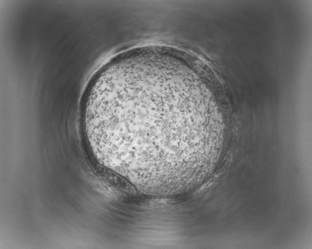 X0000059230152200511111558