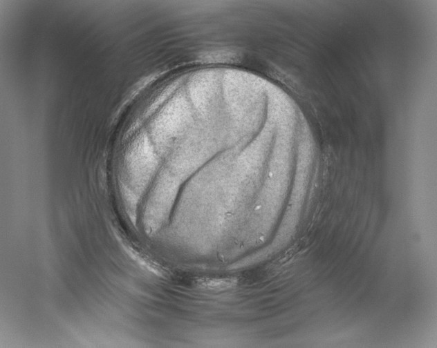 X0000059230155200511111558