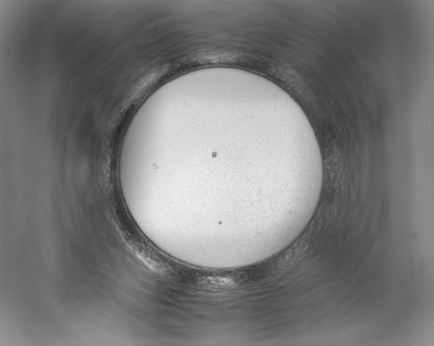 X0000059230159200511111558