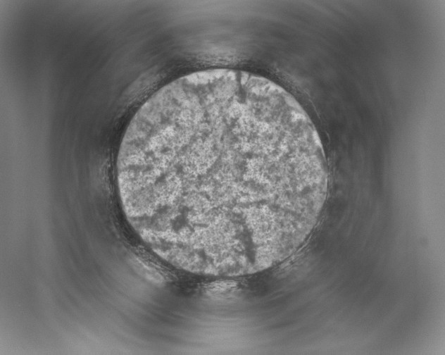 X0000059230162200511111558