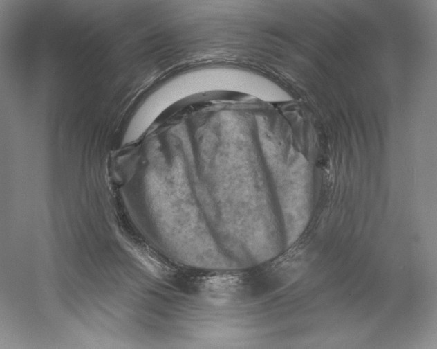 X0000059230168200511111558