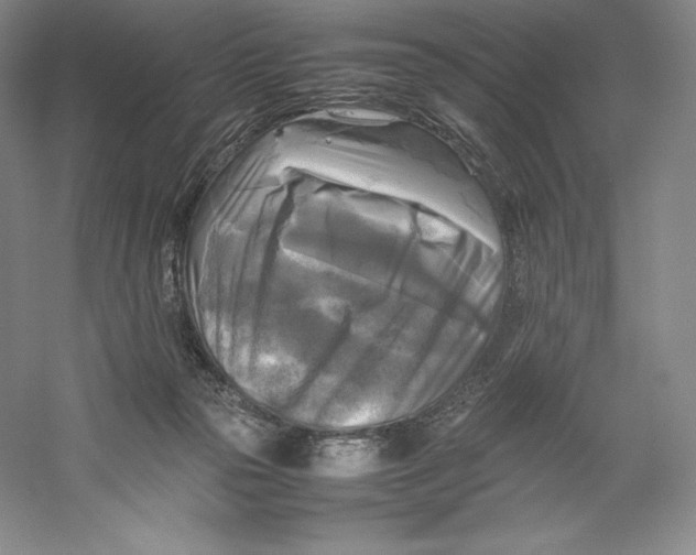 X0000059230169200511111558